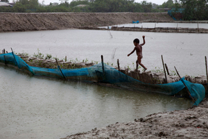 Climate Crisis in Bangladesh