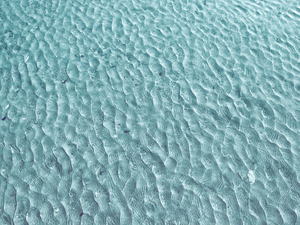 Dans l'Infini de l'Eau-Delà.