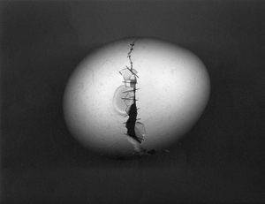 Cracked