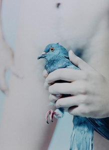 Untitled from the series Kazan, 2014 © Mayumi Hosokura, Rosegallery