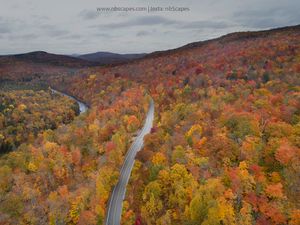 Fall Journey 2