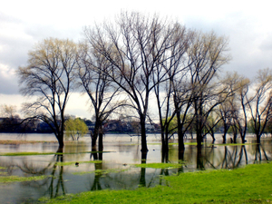 "Here comes the Flood"