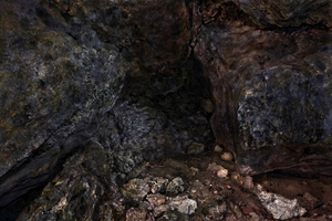 Gama#006, 2010 © Osamu James Nakagawa