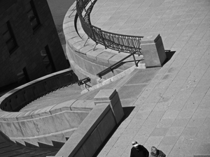 CURVILENEAR ("Missed Shot")