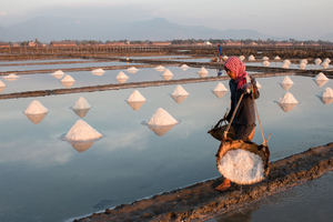 Salt Field