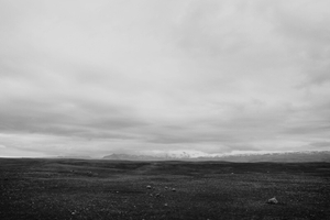 THE WASTE LAND BLUES