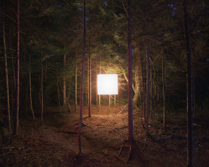 Alternatives landscapes