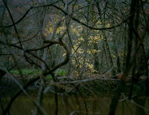 Vallée du Lot XII