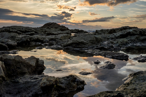 Tidal Pool Reflections