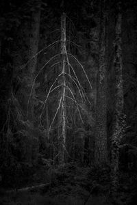 Untitled 8