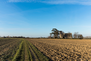 St. Mary's, Fishley, from the footpath to Acle village
