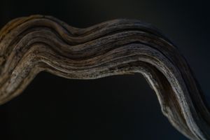Movement VII