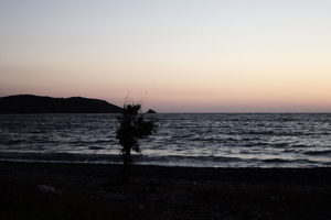 second morning #05