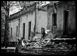"Vestiges" - What remains of the extinct Cia Mogiana de Estradas de Ferro, responsible for the economic development of one of the richest regions of Brazil, in the States of São Paulo and Minas Gerais, in southeastern Brazil.
