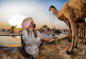 Camel Herder watering his Camel