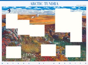 "Nature of America (or what’s left of it)"