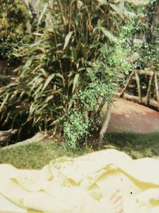 Family holiday 1964