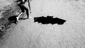 Fallen Bat.