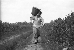 Winter Worker. Immokalee, Florida. 1997