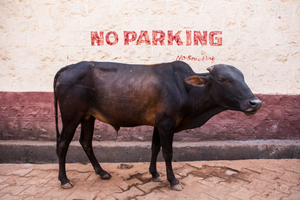 No parking