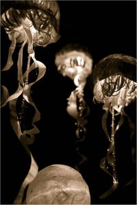 Immortality © Amber Hall