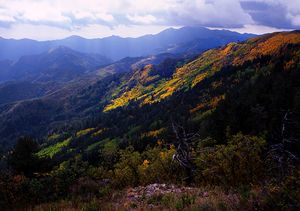 Black Range; Aldo Leopold Wilderness. South West.