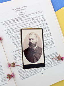 The old taxonomist
