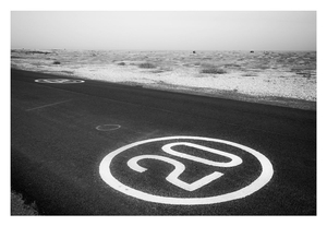 Dungeness #24