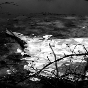 Ice
