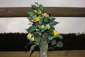 Fiori recisi