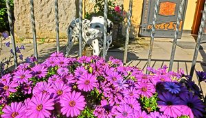 Flower Power