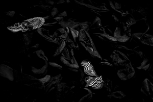Discarded Shoes, Auschwitz, Poland