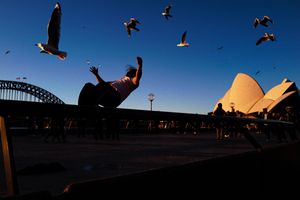 Falling Man, Circular Quay.