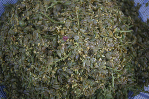 Verjuice (Verjus, called ab-ghooreh in Persian)