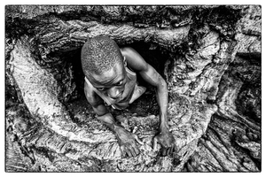 Hadza. The bee and the Baboad