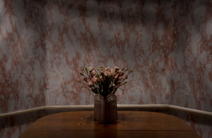 Carnations