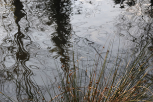 Histoires d'eau