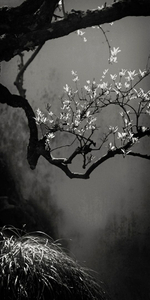 Suzhou Branch