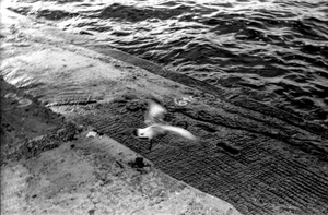 Boundary between water and land at Lake Michigan