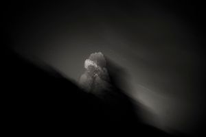 Ethereal Roots