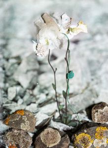 Amalgamated Fragmentations / Plastiverse 13