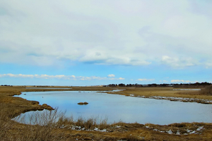 Nantucket, 2007