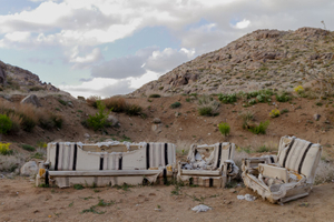 at the Walnut Farm, Bamzar, Iran