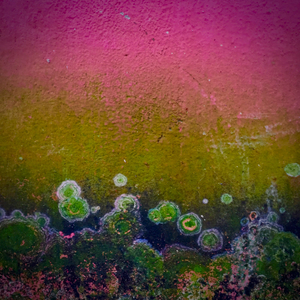 Paraty wall