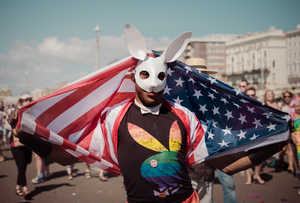 The star spangled rabbit