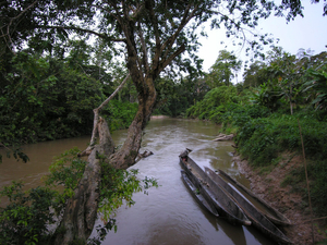 "Tanguntsa"