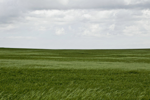 A view of the vast grass plains near the city of Erbil. © Tom Verbruggen