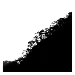 Inkwood
