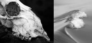 "Diptych "Rough and raw" and "Serenity"