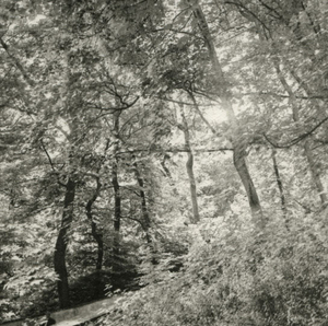 Making My Way Down © Erin Malone